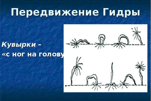 Что такое кракен в даркнете