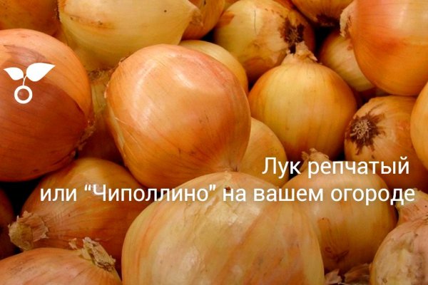 Kraken ссылка на сайт актуальная