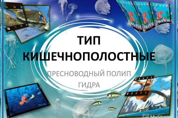 Кракен маркетплейс что там
