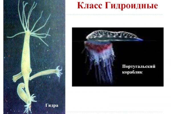 Kraken ссылка onion 2kmp