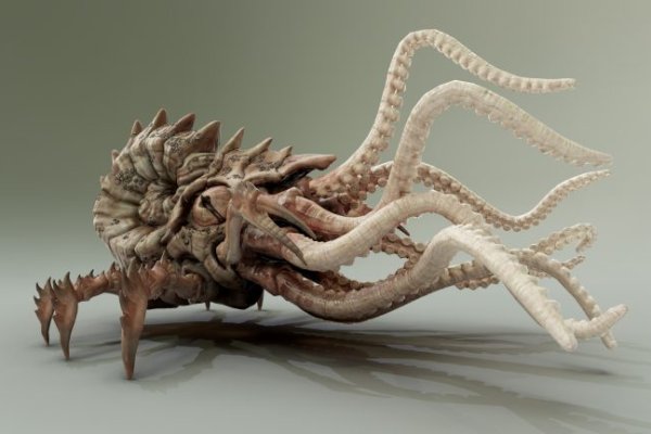 Kraken market ссылка
