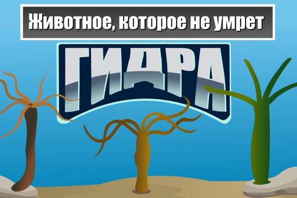 Кракен с айфона