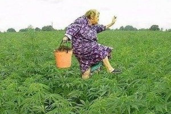 Кракен купить порошок