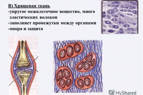 Адрес кракена